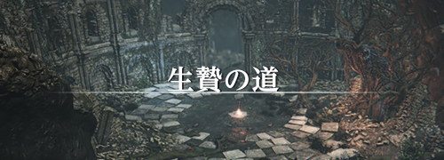 ダークソウル3（DARK SOULS Ⅲ）The Convergence 生贄の道 攻略情報